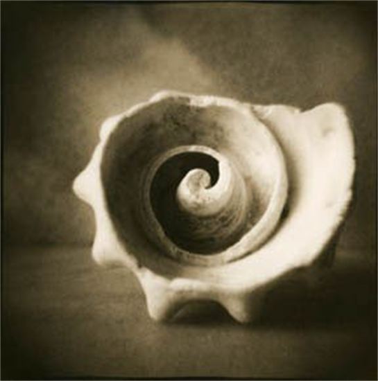 0_0_0_0_250_252_csupload_45459928_large