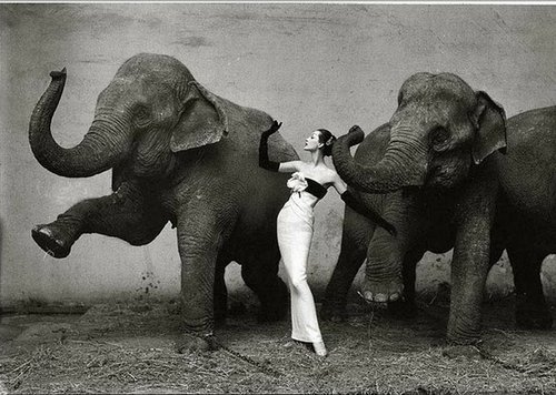 7599893090702158_IIsr9wys_c_large