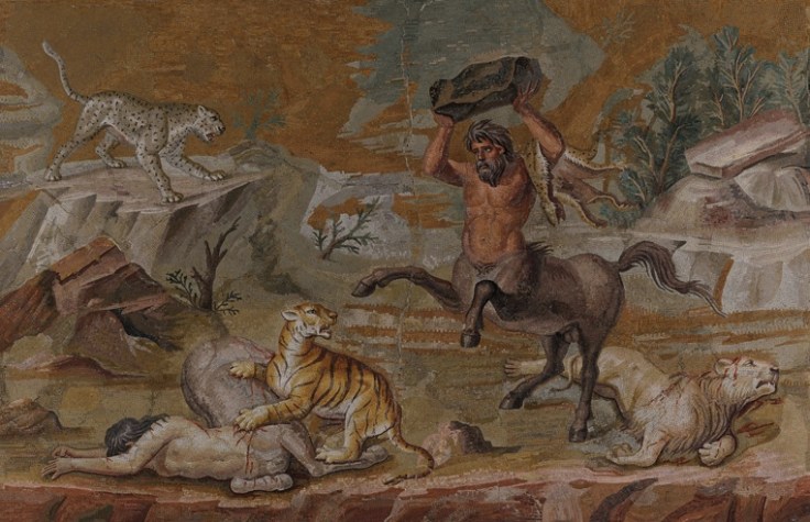 The centaur mosaic was found in the 18th century on the site of the sprawling, luxurious villa complex near Tivoli that once belonged to the Roman emperor Hadrian. The mosaic was found in situ along with other smaller ones that bore depictions of landscapes, animals and masks. The relatively small central panel (emblema) formed part of the floor decoration for the dining room (triclinium) in the main palace. The various individual scenes of these mosaic pictures bear depictions of wild, inhospitable landscapes that deliberately contrast with idyllic ones featuring animals living in harmony with each other. The dangers of the wild are portrayed in this mosaic in the dramatic struggle between great cats and a pair of centaurs, mythological creatures with the head, arms, and torso of a man and the body and legs of a horse. On a rocky outcrop that hangs over a terrific chasm that runs parallel to the bottom of the picture, a pair of centaurs have been pounced on by great cats. While the male centaur has been able to defend itself successfully from the lion, the tiger has managed to bring the female centaur to the ground and is clawing her side. The male centaur rushes to his companion’s side, rearing his legs in the air while holding a rock aloft above his head. Undaunted, the tiger seems intent on not surrendering its prey. Even though one lion already lies fatally wounded, bleeding and with its claws retracted, the outcome of the struggle is anything but clear because in the background (whose spatial depth is achieved through the staggered arrangement of rock forms and impressive gradations of colour) we see yet another foe for the centaur: a leopard ready to pounce. While depictions in older Greek art tended to emphasise the bestial side of centaurs, later depictions increasingly focussed on their human qualities. Lucian, a writer from the 2nd century, records that the Greek painter Zeuxis (active around 400 BCE) became famous for his painting of a family of centaurs, including the young, set in a rural idyll. Similarly, Ovid, who lived around the turn of the millennium, wrote in moving verse of the death of a centaur couple. The extensive restoration work that was undertaken in the 18th and 19th century makes it difficult to date the mosaic with certainty. As a result, its dating ranges from Hellenistic to Hadrianic. There is broad agreement among scholars that the mosaic amounts to one of most virtuoso works of Roman mosaic art, which was inspired by a Greek work of art (either a panel painting or mosaic) from the Hellenistic period.