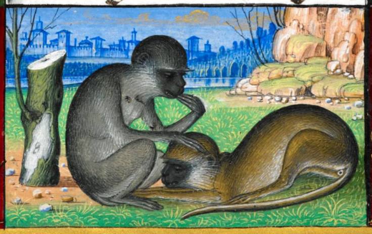 1891262_597619013659913_1308077122_n