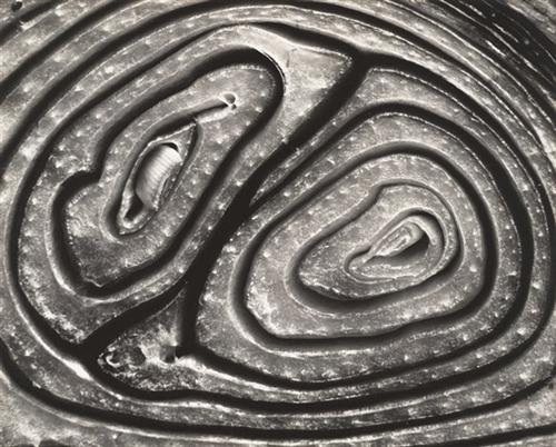 onion-halved-1930.jpg!Blog