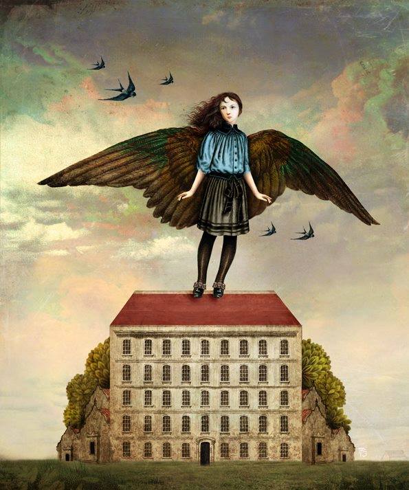 10003918_10152240464923518_1974162708_n