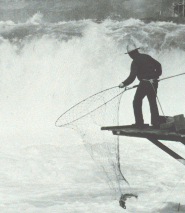Salmon_fishing_with_large_loop_nets_by_Native_Americans2